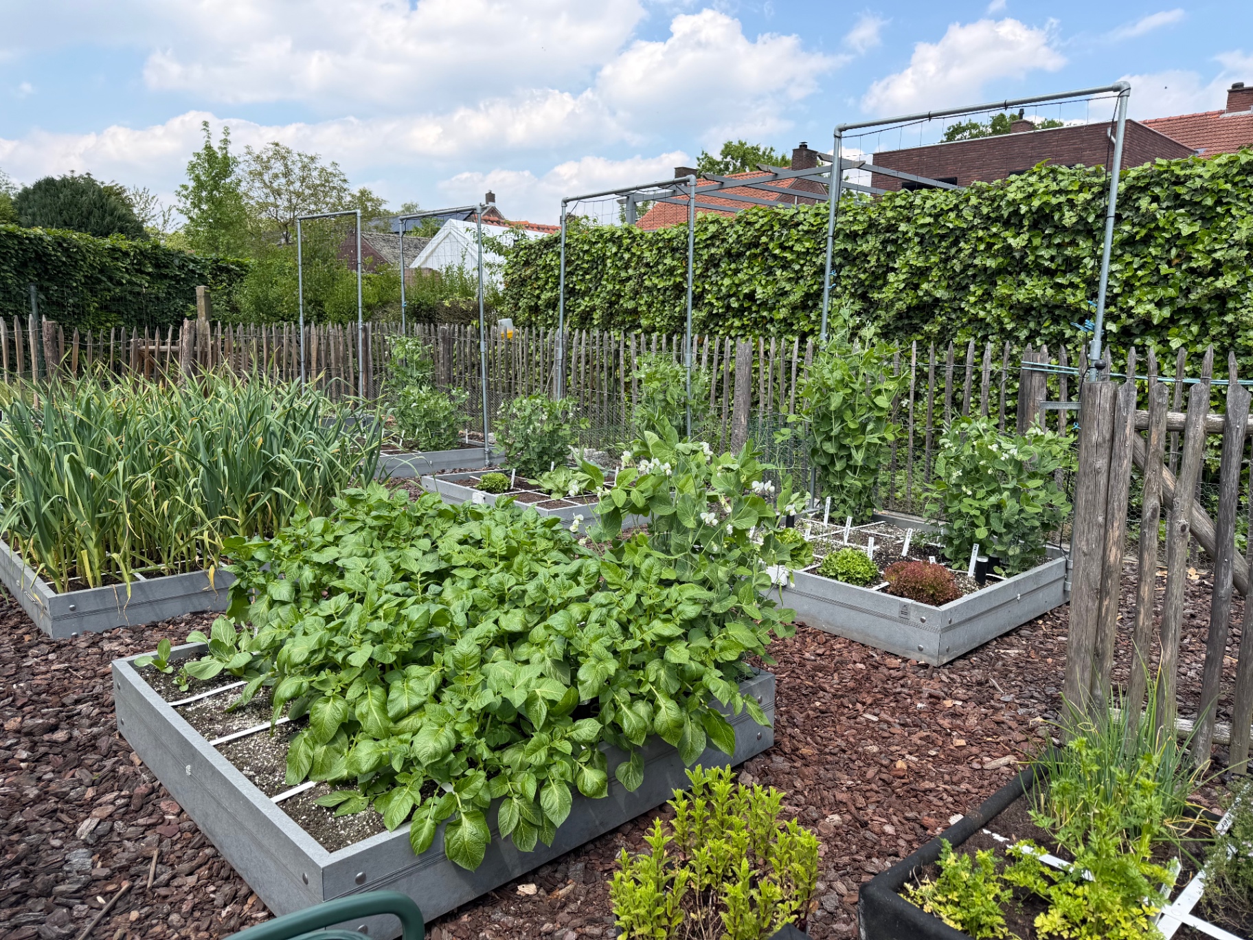 Overzicht van onze biologische moestuin met verhoogde plantbedden vol groenten